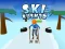 Spil Ski Rush 3d online