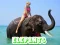 Spil Elephants Puzzle online