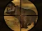 Spil Classical Hippo Hunting online