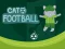 Spil Cat Football online