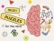 Spil Brain Puzzles Quests online