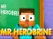 Spil Mr Herobrine online