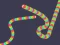 Spil Slither Classic online