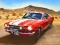 Spil Sung Race online