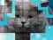 Spil PicPu Cat online