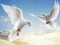 Spil Flying Birds online