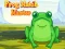 Spil Frog Match Master online