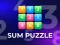Spil Sum Puzzle: Arithmetic online