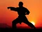 Spil Karate Sunset Warriors online