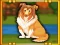 Spil Bernese Mountain Dog Escape online
