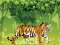 Spil Angry Tiger Coloring online