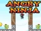 Spil Angry Ninja online