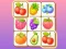 Spil Zoo Tile online