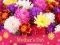 Spil 2019 Mother's Day Puzzle online