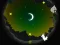 Spil Alpaca Run online