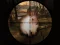 Spil Classical Rabbit Sniper Hunting 2019 online
