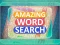 Spil Amazing Word Search online