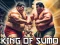 Spil King Of Sumo the ultimate brawl online