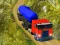 Spil Indian Cargo Truck Simulator online