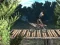 Spil Bike Trial Xtreme Forest online