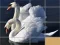 Spil Animals Slide Puzzle online