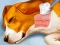 Spil Dog Hospital online