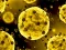Spil Coronavirus Slide online