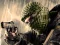 Spil Terrorist Shootout online