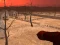 Spil Wasteland Shooters online