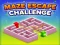 Spil Maze Escape Challenge online