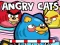 Spil Angry Cats online