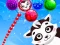 Spil Raccoon Rescue online