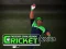 Spil Cricket Fielder Challenge online