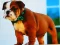 Spil Bulldog Puppy Puzzle online
