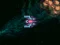 Spil Asteroid Crush online
