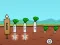 Spil Radish online