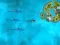 Spil Survive the Sharks online