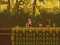 Spil The Lost Forest online
