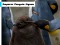 Spil Emperor Penguin Jigsaw online