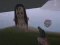 Spil The Island of Momo online