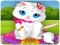 Spil Vet Cat Clinic online