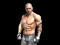 Spil Fight Arena Online online