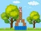 Spil Box Challenge online