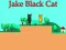 Spil Jake Black Cat online