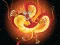 Spil Chinese Dragons Coloring online