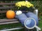 Spil Autumn Garden Find 100 butterflies online