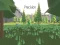 Spil Precision online