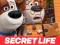 Spil The Secret Life of Pets Jigsaw Puzzle online