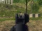 Spil Army Shooter online