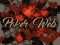 Spil Poker Web online